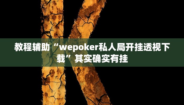 教程辅助“wepoker私人局开挂透视下载”其实确实有挂