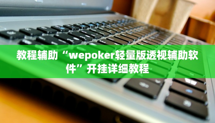 教程辅助“wepoker轻量版透视辅助软件”开挂详细教程