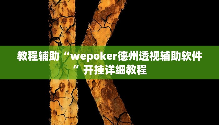 教程辅助“wepoker德州透视辅助软件”开挂详细教程