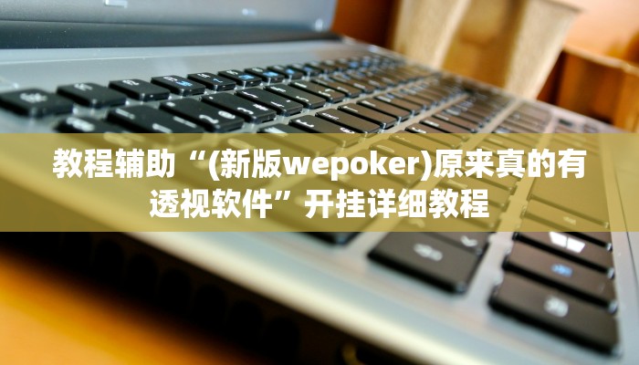 辅助教程“wepoker开挂透视辅助挂!(透视)详细辅助透视教程