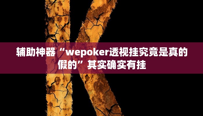 辅助神器“wepoker透视挂破解版”开挂详细教程 辅助神器“wepoker透视挂破解版”开挂详细教程