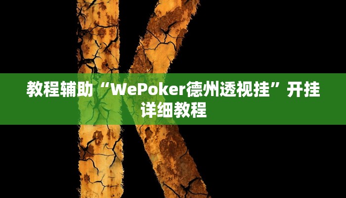 教程辅助“WePoker德州透视挂”开挂详细教程