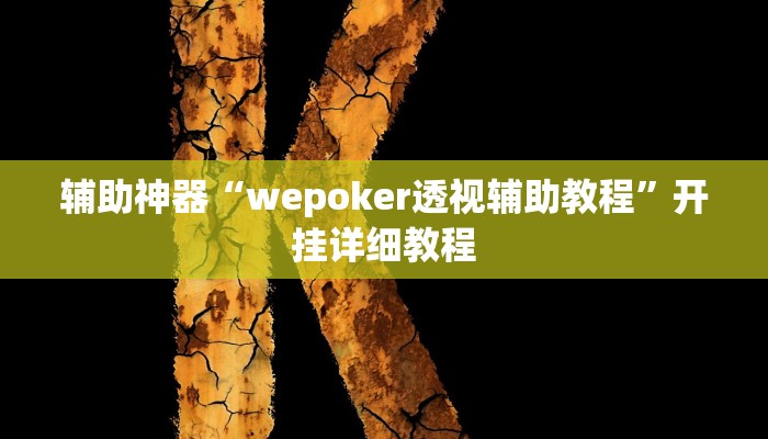 辅助神器“wepoker透视辅助教程”开挂详细教程