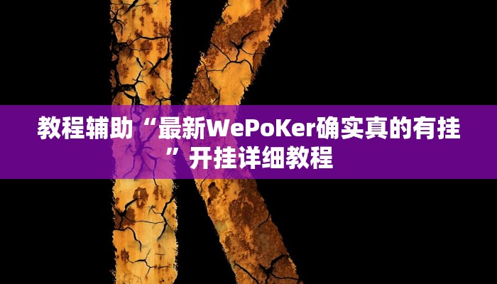 教程辅助“最新WePoKer确实真的有挂”开挂详细教程
