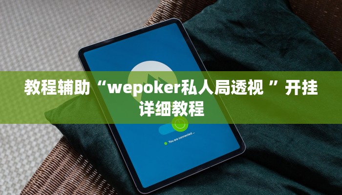 教程辅助“wepoker私人局透视 ”开挂详细教程