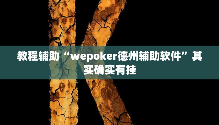 玩家辅助神器:“德州wepoker透视挂真的吗”开挂详细教程