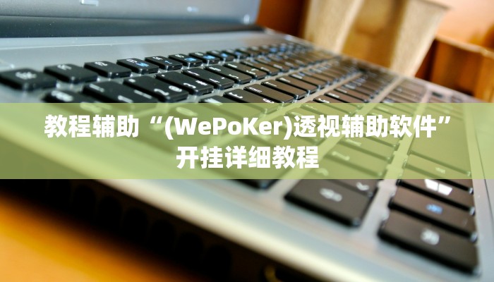 辅助教程“wepoker德州作弊开挂方法(透视 ),难怪经常输有猫腻 (透视)