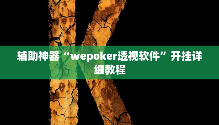 辅助神器“wepoker透视软件”开挂详细教程