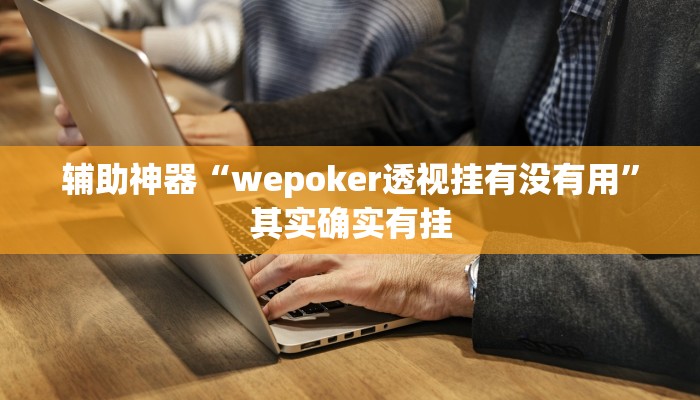 教程辅助“pokernow开挂教程”其实确实有挂