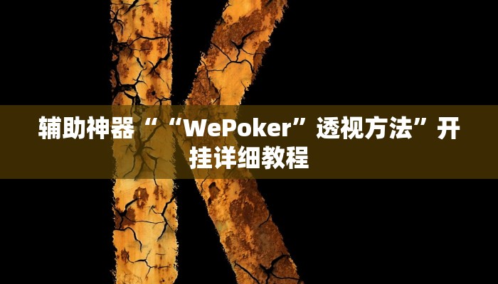 辅助神器“德州局WePoker透视挂作弊辅助方法”开挂详细教程