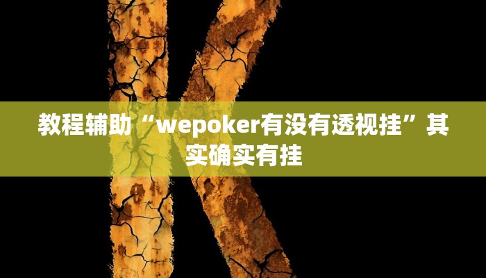 玩家辅助神器:“hhpoker透视方法”开挂详细教程