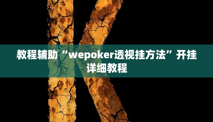 教程辅助“德州Winner到底有挂吗”开挂详细教程