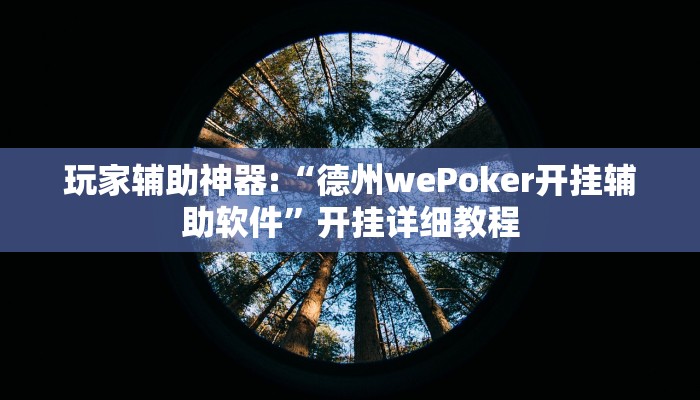玩家辅助神器:“德州局WePoker开挂”其实确实有挂 玩家辅助神器:“德州局WePoker开挂”其实确实有挂