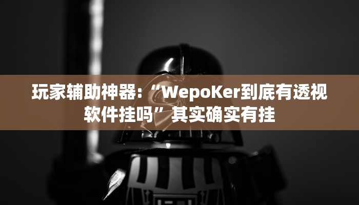 玩家辅助神器:“WepoKer到底有透视软件挂吗”其实确实有挂