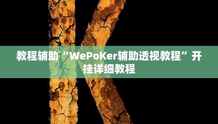 教程辅助“WePoKer辅助透视教程”开挂详细教程