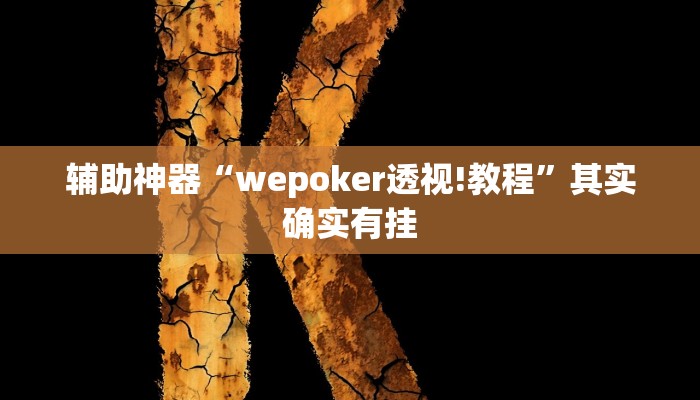 辅助神器“epokerplus透视挂辅助教程”开挂详细教程
