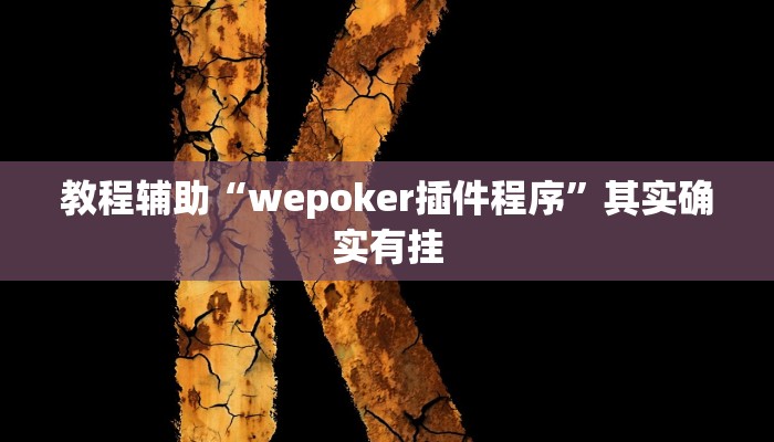 教程辅助“wepokerplus透视下载”开挂详细教程