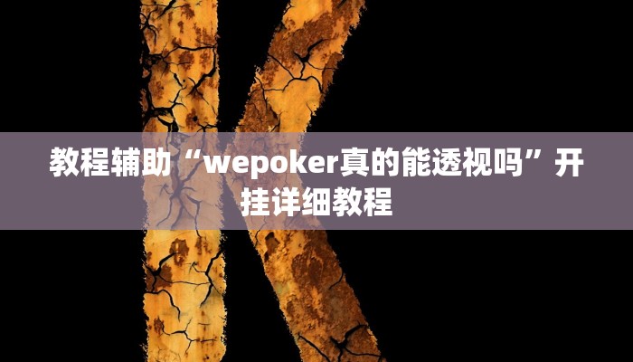 教程辅助“wepoker真的能透视吗”开挂详细教程