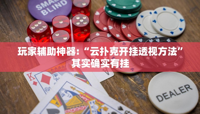 玩家辅助神器:“wepoker作弊挂”其实确实有挂