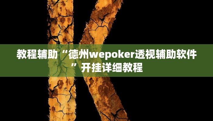 教程辅助“德州wepoker透视辅助软件”开挂详细教程