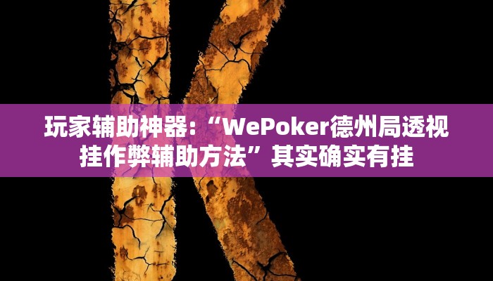玩家辅助神器:“wepoker技巧”开挂详细教程