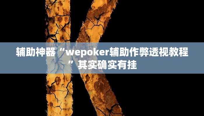 开挂辅助工具“德州局wepoker作弊!(透视)详细辅助透视教程