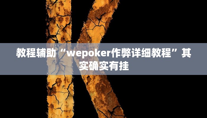 教程辅助“wepoker作弊详细教程”其实确实有挂