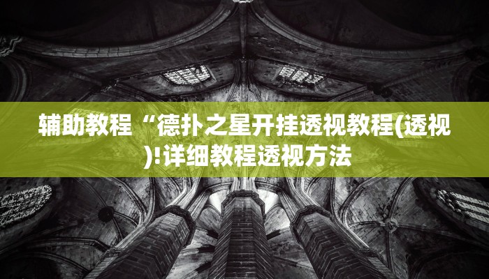 辅助教程“德扑之星开挂透视教程(透视 )!详细教程透视方法