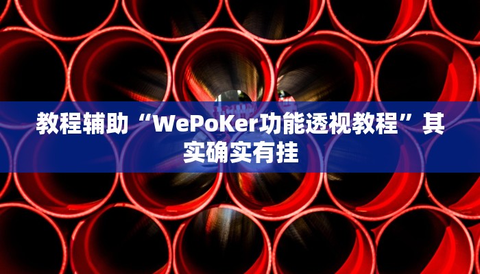 教程辅助“WePoKer功能透视教程”其实确实有挂