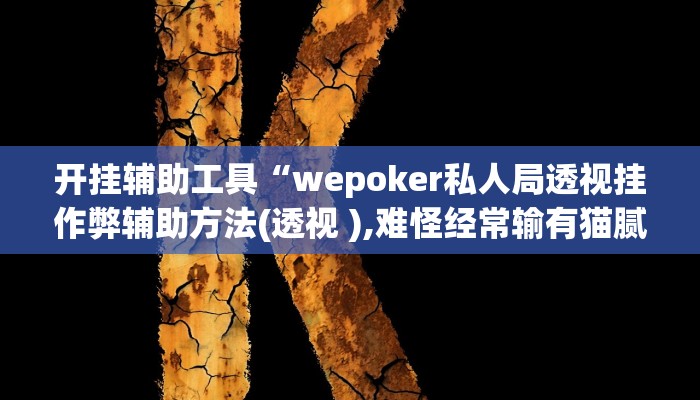 开挂辅助工具“wepoker私人局透视挂作弊辅助方法(透视 ),难怪经常输有猫腻 (透视)