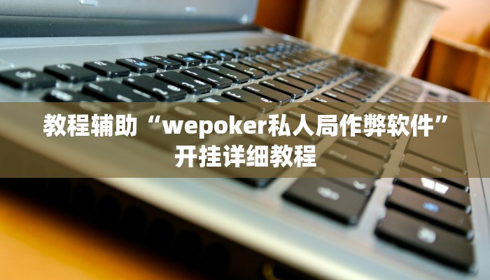 开挂辅助工具“wepoker软件辅助挂(透视 )!详细教程透视方法