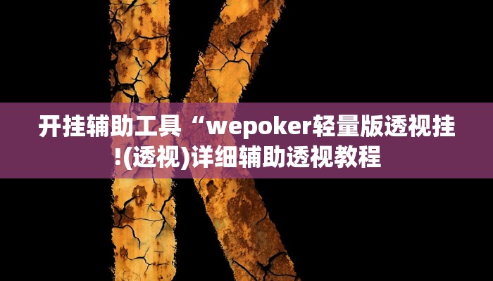 教程辅助“wepoker德州局透视作弊挂方法”开挂详细教程