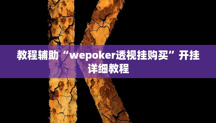 教程辅助“wepoker透视挂购买”开挂详细教程
