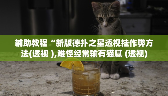 辅助教程“新版德扑之星透视挂作弊方法(透视 ),难怪经常输有猫腻 (透视)