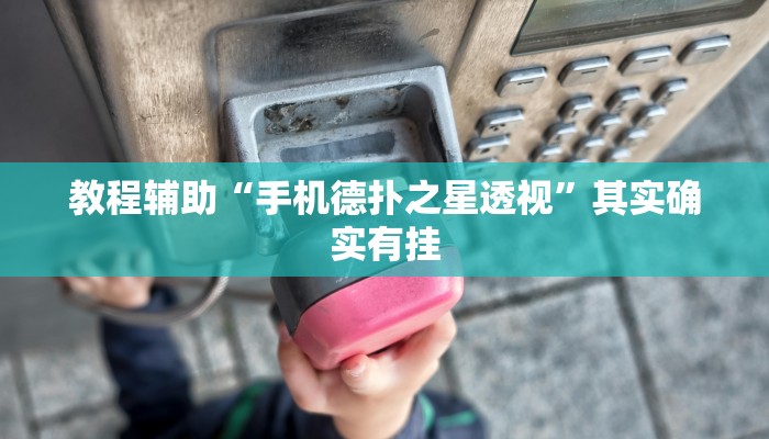 教程辅助“wepoker私人局透视挂辅助软件”其实确实有挂