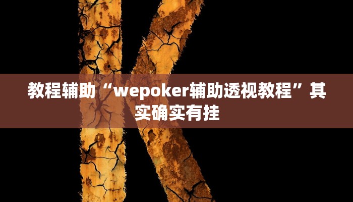 教程辅助“wepoker辅助透视教程”其实确实有挂