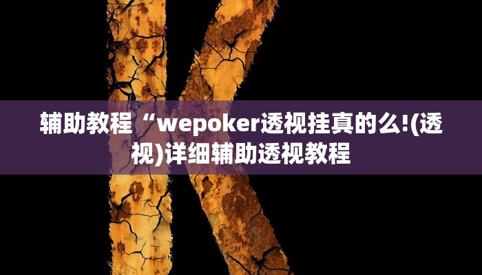 辅助教程“wepoker透视挂真的么!(透视)详细辅助透视教程