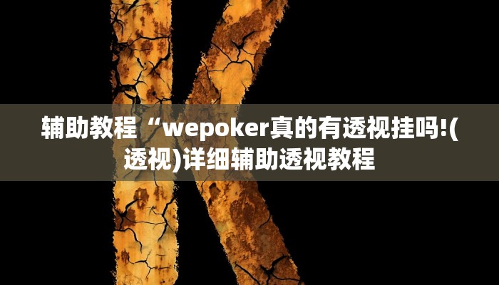 开挂辅助工具“wepoker辅助挂透视软件,难怪经常输&原来有猫腻