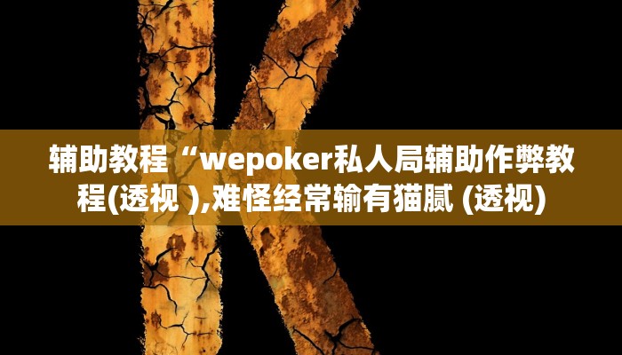辅助教程“wepoker私人局辅助作弊教程(透视 ),难怪经常输有猫腻 (透视)