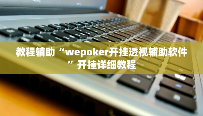 教程辅助“wepoker开挂透视辅助软件”开挂详细教程