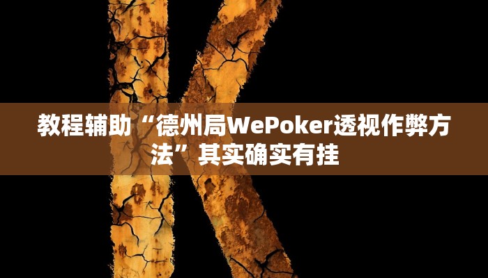 教程辅助“德州局WePoker透视作弊方法”其实确实有挂