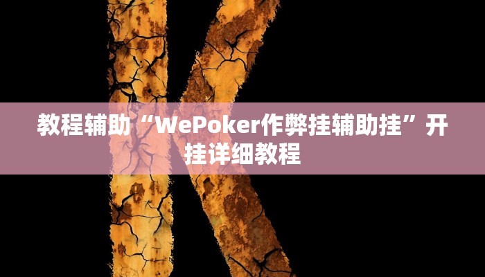 玩家辅助神器:“WePoker辅助作弊挂”开挂详细教程