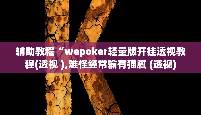 辅助神器“HHpoker德州透视挂”开挂详细教程