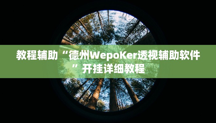 玩家辅助神器:“hhpoker透视开挂”开挂详细教程