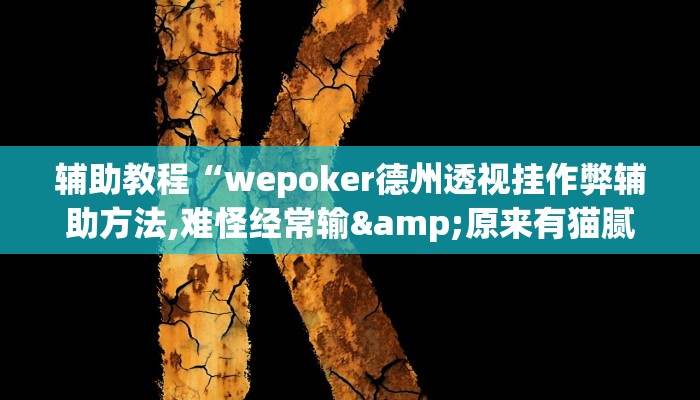 玩家辅助神器:“WePoKer辅助器开挂透视教程”开挂详细教程