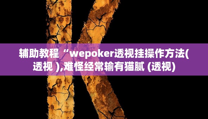辅助教程“wepoker透视挂操作方法(透视 ),难怪经常输有猫腻 (透视)