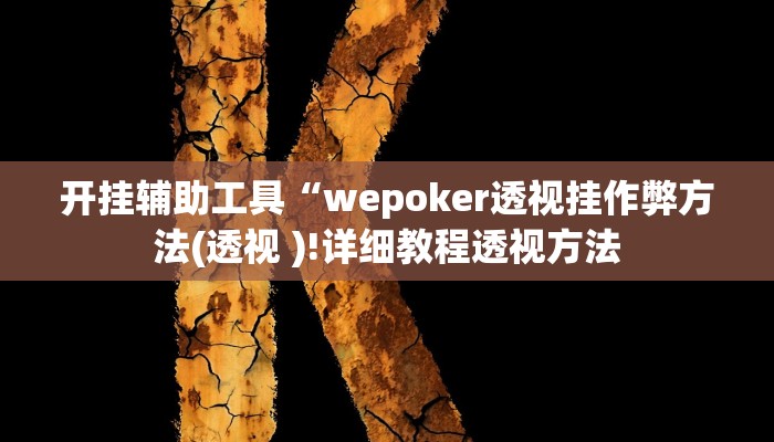 开挂辅助工具“wepoker透视挂作弊方法(透视 )!详细教程透视方法