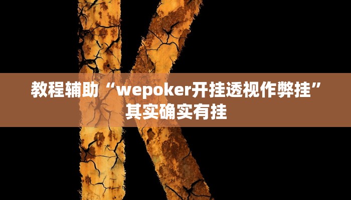 教程辅助“wepoker开挂透视作弊挂”其实确实有挂