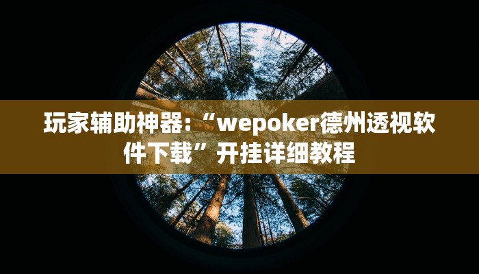 玩家辅助神器:“wepoker德州透视软件下载”开挂详细教程