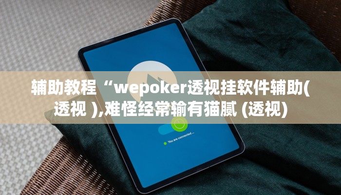 教程辅助“最新WePoKer开挂透视方法”其实确实有挂